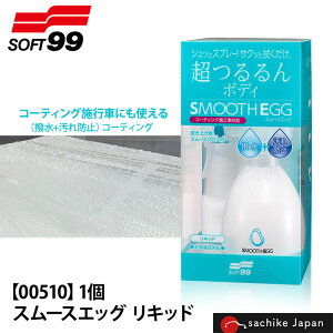 soft99 pNXt | X[XGbO Lbh 250ml yAR[g  ShFΉ Xv[ ȒPyA 00510