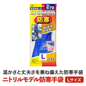 GXe[PRO jgfh LTCY 1 / 60(1P[X) NO.670  S Ɨp h g  N jg jgS ܂Ƃߔ Ɩp ϖ ϔM  _  