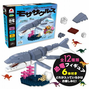 mߋ̃Vo[obN FunB tBMAt SUPER COLLECTION 132p[c̃ubNłITTEX  m ߋ
