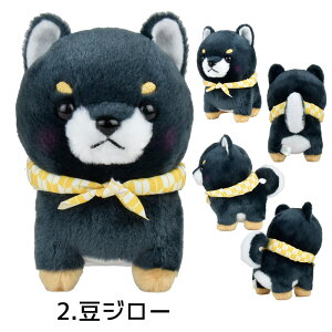 ܂邽ܓΎOZST Y T W[ OY  ~ ʂ Č 킿 STCY