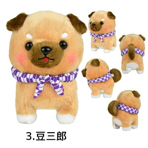 y5%OFFN[| 122()9:59z܂邽ܓΎOZST Y T W[ OY  ~ ʂ Č 킿 STCY