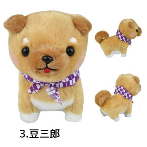 y5%OFFN[| 122()9:59zΎOZST Y W[ OY ʂ Č 񂿂 STCY