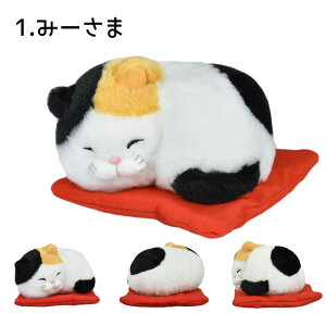 yő2000~OFFN[|11()09:59zЂ܂񂶂イzQ ݁[  قƂ ӂɂ L zc ʂ