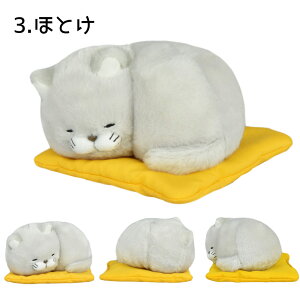 Ђ܂񂶂イzQ ݁[  قƂ ӂɂ L zc ʂ