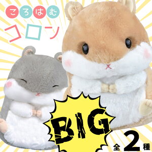 yő2000~OFFN[| 27()01:59z͂ރR BIGTCY R W nX^[ WKA ʂ l`