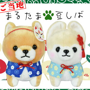 y5%OFFN[| 122()9:59zn܂邽ܓΎOZ STCY Y  ʂ l`