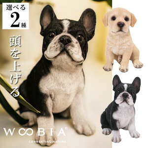 yő2000~OFFN[| 16()23:59zuh[Ego[ t`EuhbO CeA woobia E[rA l` u