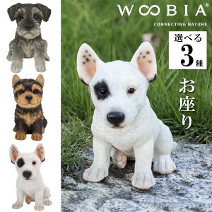 yő2000~OFFN[| 16()23:59z ViEU[ [NV[EeA ueA CeA woobia E[rA l` u