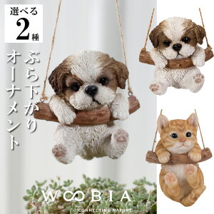 V[Y[ gL Ԃ牺 I[ig CeA woobia E[rA l` u