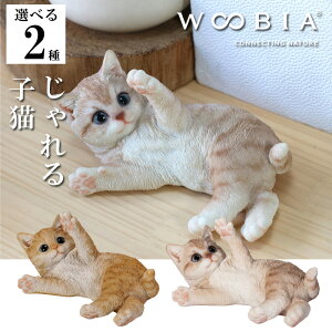 yő2000~OFFN[| 16()23:59z gqL ~NeB[L CeA woobia E[rA l` u