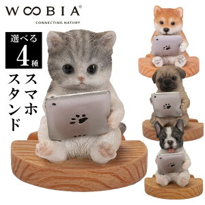 ^ubgTogL Č pO t`uhbO X}zX^h CeA woobia E[rA l` u
