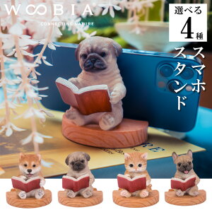 yő2000~OFFN[|11()01:59z{Č pO gL t`uhbO X}zX^h CeA woobia E[rA l` u