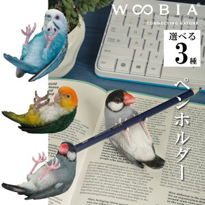 yő2000~OFFN[| 16()23:59z{^CR VCR yz_[ CeA woobia E[rA l` u