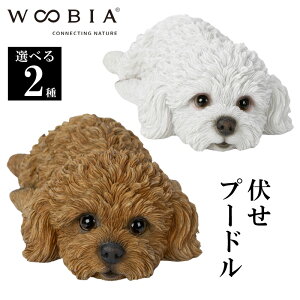 yő2000~OFFN[| 16()23:59zgCv[h Ԃ CeA woobia E[rA l` u