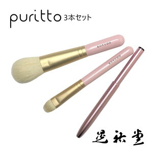 Puritto PR-S-3 Puritto3{Zbg WSCNuV FM ϕM {