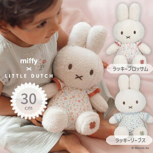 yő2000~OFFN[| 11()01:59zmiffy x Little Dutch ~btB[ g_b` ʂ30cm bL[ubT bL[[uX