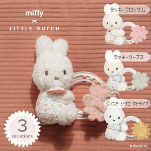 yő2000~OFFN[| 11()01:59zmiffy x Little Dutch ~btB[ g_b` Og/bL[ubT bL[[uX Be[WTj[XgCv