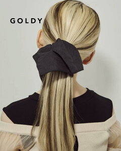 GOLDY S[fB WJ[h XNGA rbN VV 6241104y[։z