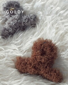 GOLDY S[fB V[g t oX Nbv 6241006y[։z