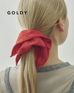 GOLDY S[fB [X XNGA rbO VV 6250509y[։z