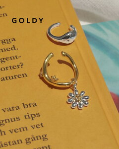 GOLDY S[fB g u[ C[Jt 2250701y[։z