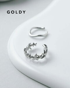 GOLDY S[fB}CN X^[ C Zbg C[Jt 2250702y[։z