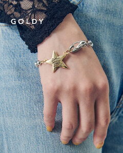 GOLDY S[fB \tBA X^[ ID v[g uXbg 4250650y[։z