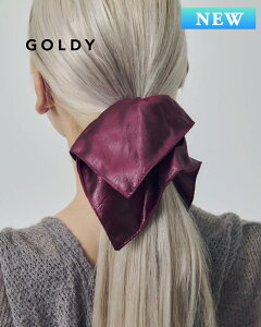 GOLDY S[fB VCj[ XNGA rbO VV 6251106y[։z