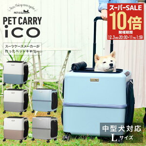 ySi10{12/3()20`zybgL[ y`R 3001-L PETico 1Nۏ  lR ^ ^ ybgJ[g ybgoM[ L[P[X L[obO X[cP[X yeBR ico CR 