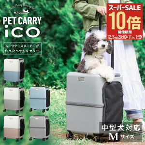 ySi10{12/3()20`zybgL[ y`R 3001-M PETico 1Nۏ  lR ^ ^ ybgJ[g ybgoM[ L[P[X L[obO X[cP[X yeBR ico CR 