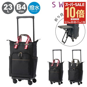 ySi10{12/3()20`zXj[ VbsOJ[g VbsOL[ B4 ʕt  É Â  23L 55cm 3.4kg fB[X @ D-630 |h SWANY obO RC