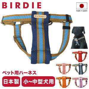ySi10{10/3()0zo[fB n[lX p MTCY ^ ^ { 7381 BIRDIE bZNbVn[lX  킢  U ł NbV bV[