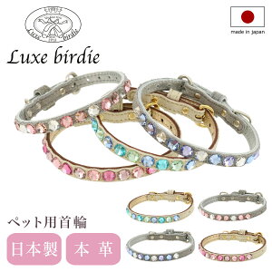 ySi10{11/4()0zNXo[fB  p STCY ^ { {v Luxebirdie 9316 O}`J[ 21TCY  킢  т pi ybgObY[]