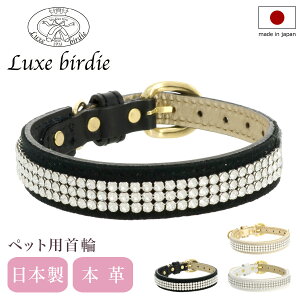 ySi10{10/4(y)0`zNXo[fB  p STCY ^ { {v Luxebirdie 9373 [NX^J[ 21TCY  킢  т pi ybgObY[