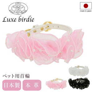 ySi10{9/19()20`zNXo[fB  p MTCY ^ { {v Luxebirdie 9454 [Yp[J[ 25TCY  킢  т pi ybgObY[]