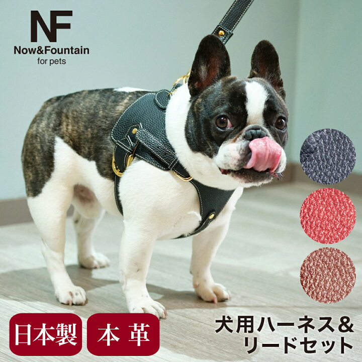 楽天市場 エヌアンドエフ ペット ハーネス リードセット 小型犬 ハーネス ボディベルト リード おしゃれ レザー 本革 日本製 N F For Pets Type A ナチュラル 犬用 ペット ファッション 胴輪 犬用品 ペットグッズ 即日発送 サックスバー 財布バッグ専門店 楽天市場 エヌアンドエフ ペット ハーネス リードセット 小型犬 ハーネス ボディベルト リード おしゃれ レザー 本革 日本製 N F For Pets Type A ナチュラル 犬用 ペット ファッション 胴輪 犬用品 ペットグッズ 即日発送 サックスバー 財布バッグ専門店