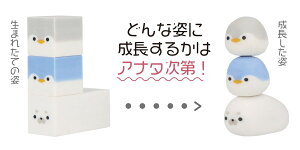ウミゴム アザラシ あざらし ペンギン ぺんぎん 文具アイデアコンテスト 育てる消しゴム 海の生き物 大人気 消しゴム けしごむ ロクイチブング サンスター
