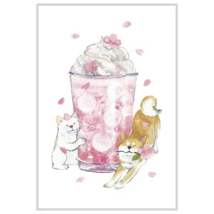 |XgJ[h ΂ʂƏt e ΂ʂƂ ͂ t cĉ PS-170h t   莆 CeA