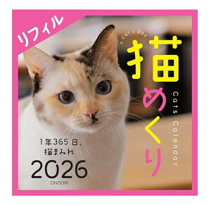猫めくり 日めくりカレンダー リフィル 2026年 令和8年 ひめくりカレンダーねこめくり ネコめくり 猫 ねこ ネコ 猫柄 カレンダー CK-C26-02 卓上 壁掛け 台座なし 2026 おしゃれ かわいい 中央経済