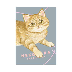 ˂nm[g B6 ˂n L ˂ lR ˂nB6m[g 5mm g `g OєL Tog LnXg 킢 ɂ wXeCt BD050