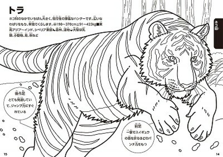 楽天市場 3連休クーポン配布中 動く図鑑 Move ぬりえ 動物 トーヨー 学べる 塗り絵 幼児 マスキングテープの店 佐田文具店