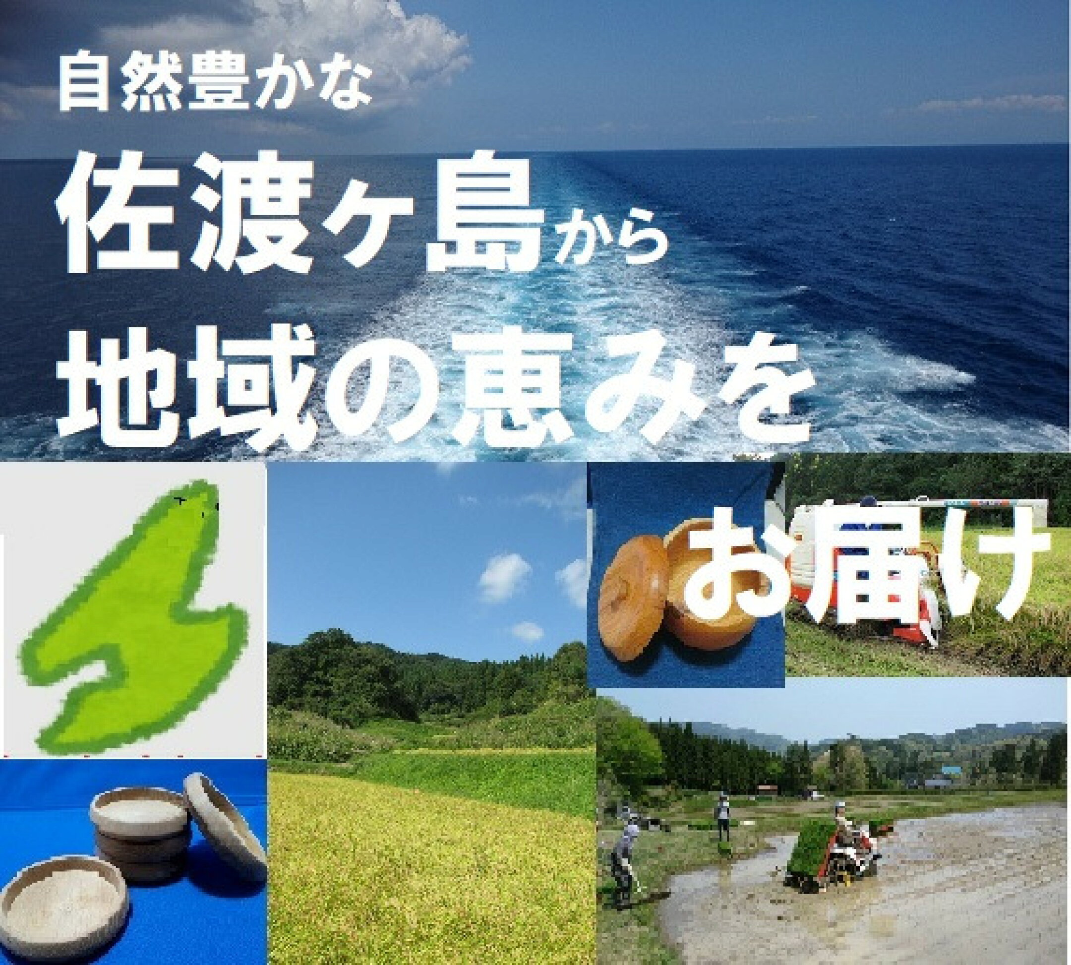 佐渡ヶ島から地域の恵みをお届け