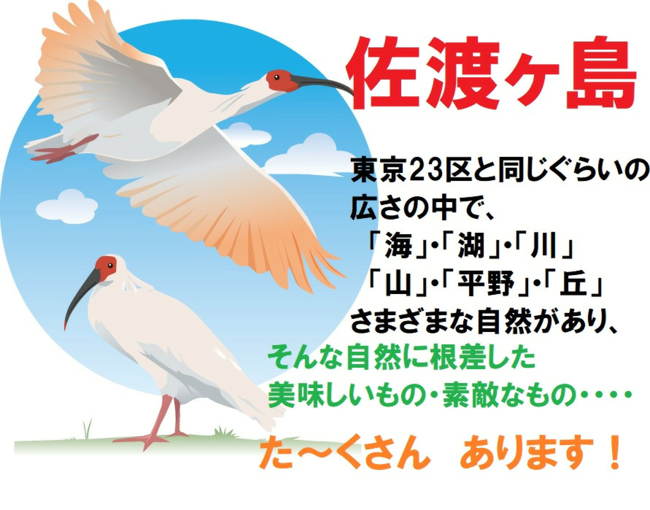 ★佐渡ヶ島より、地域の恵みをお届けします！★