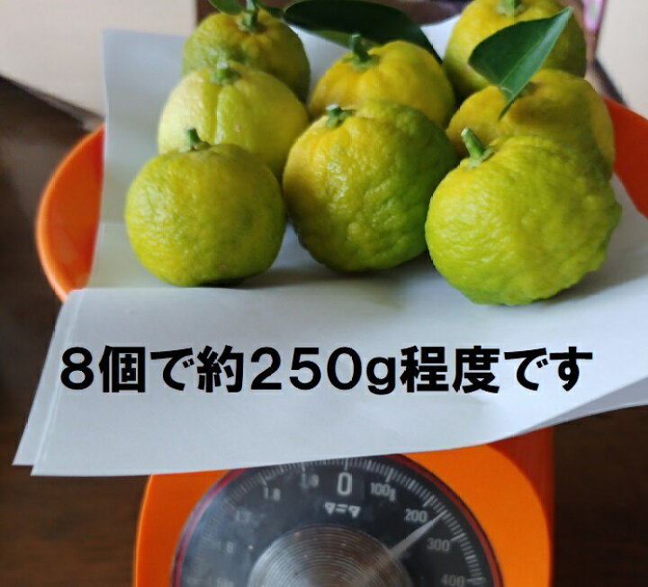 楽天市場】【送料無料】（送料込み） 柚子 ユズ ゆず（緑〜黄色）小玉  