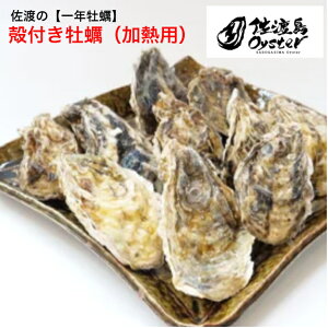 nEΌ΂̈Ny@ł͂kty@4kg i28`48j()12{蔭\荲nY n  JL Ă BBQ ~̖o VN t h{_ VN kt