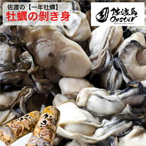 nEΌ΂̈Ny@ł͂yނg@600gi150g×4pbNj@()12{蔭\荲nY  JL g ~̖o VN h{_ VN Ε Mtg CN V