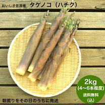 楽天市場】たけのこ 朝掘り 2kgの通販 