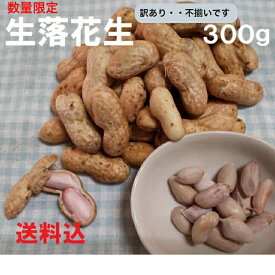 【送料無料】（送料込み）生落花生（ピーナッツ）自家製につき訳あり・・形・大きさ不揃い　300g★レターパックプラスで発送★　1,560円季節限定　今だけ　生の落花生　生のピーナッツ茹でてお召し上がり下さい・・1回で食べきりに適量！