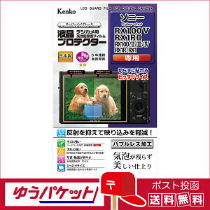 �y�䂤�p�P�b�g�z���E���������z�P���R�[ �t���v���e�N�^�[�\�j�[�@RX100V / RX1RII / RX100 II , III , IV / RX1R / RX1 �p�iKLP-SCSRX100M5 �j