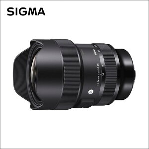 VO}(Sigma) 14-24mm F2.8 DG DN | Art(A[g) \j[[E}Eg]p / tTCYΉ